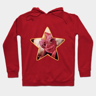 Sardonyx Love Hoodie